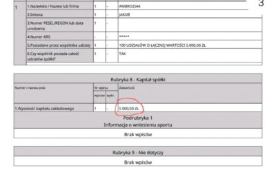 Biogazownia za 15 000 zł